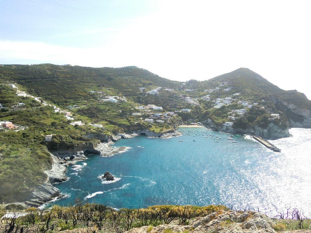 L'Incanto Di Cala Feola Ponza Extérieur photo